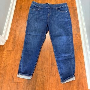 Lane Bryant 20s Pull-On High-Rise Jeggins
